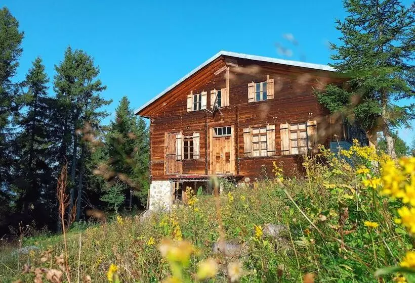 Majatalo Demircioglu Pokut Dag Evi