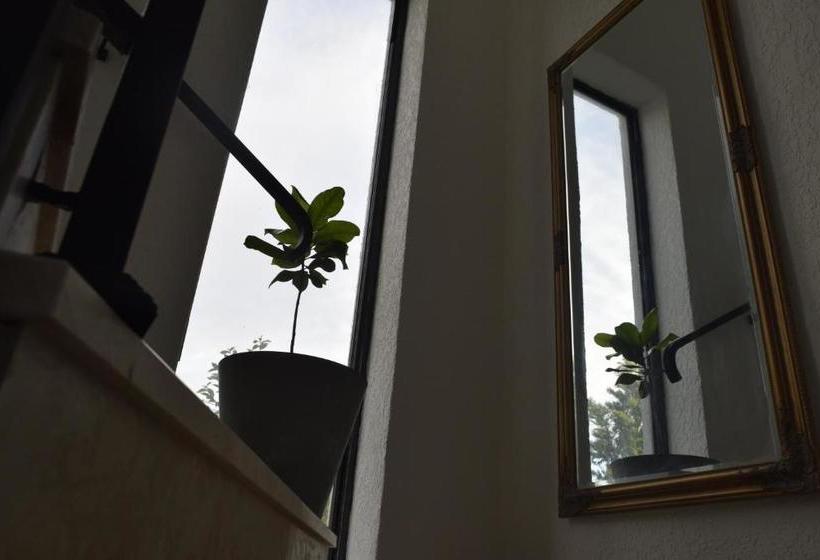 هاستل Tj Gardens