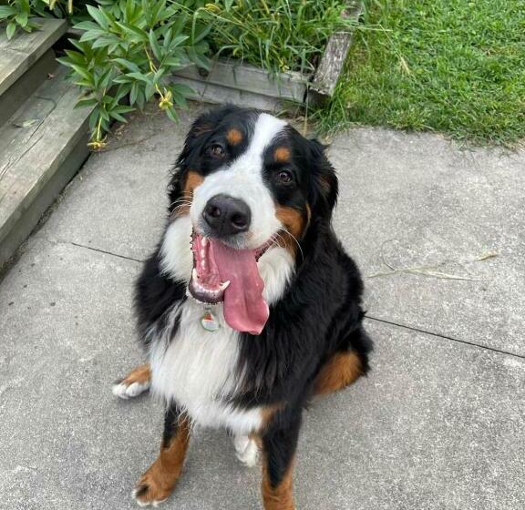 مبيت وإفطار Manoir Alegria