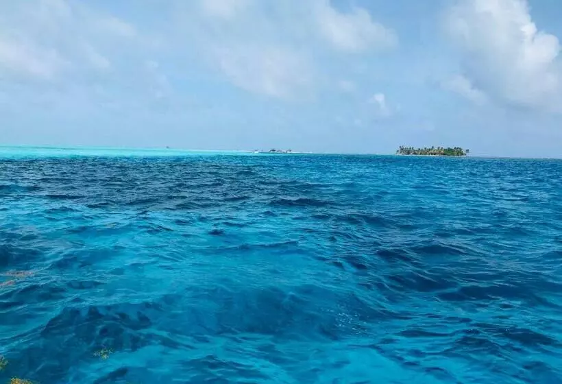 ペンション Joebi S House Walking Distance To Rocky Cay Beach Ideal For Families Or Groups