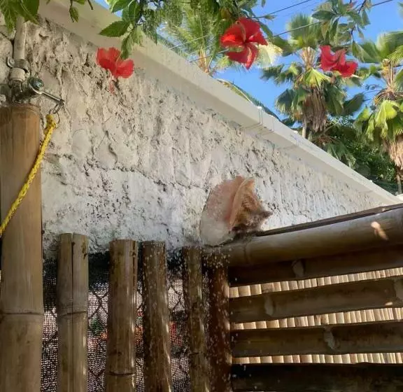 ペンション Joebi S House Walking Distance To Rocky Cay Beach Ideal For Families Or Groups