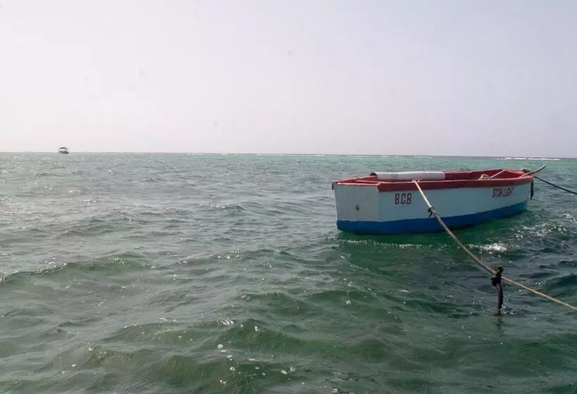 پانسیون Sunset Nabro