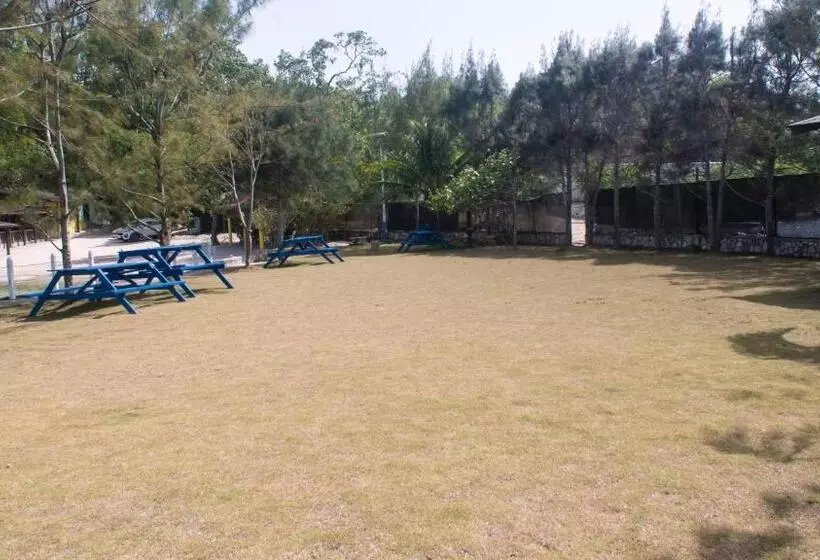 پانسیون Sunset Nabro