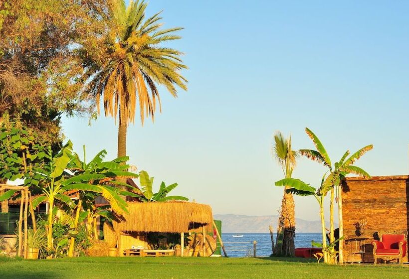 בית מלון כפרי Akbulut