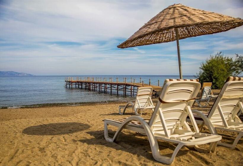 בית מלון כפרי Akbulut