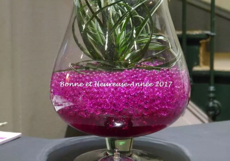 فندق Hôtel Des Ambassadeurs