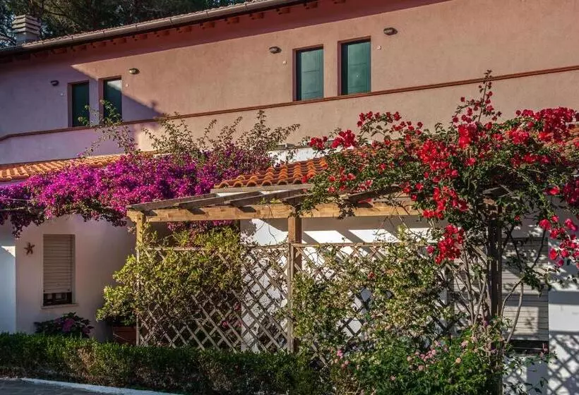 ホテル Drago Residence