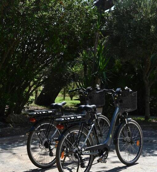 Отель Hôtel Pineto