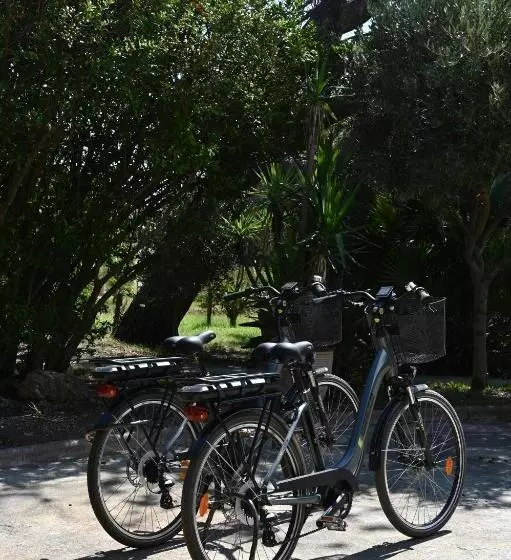 בית מלון כפרי Hôtel Pineto