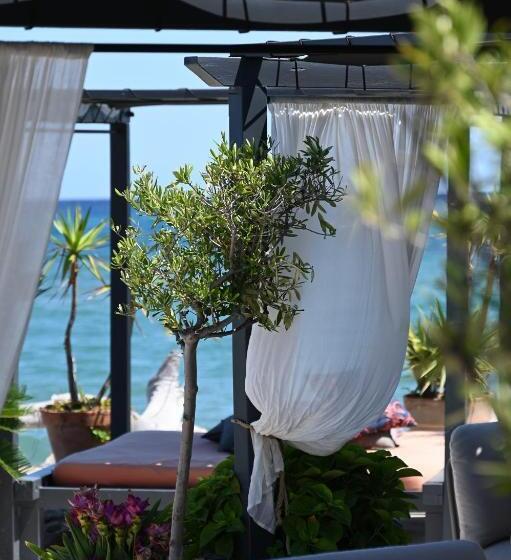 Отель Hôtel Pineto