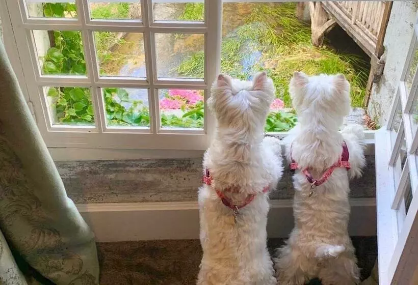 酒店 Le Moulin Du Roc