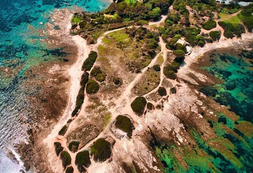 ホテル Les Palmiers