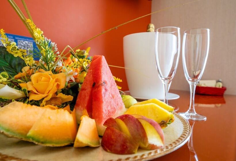 Отель Villa Elena