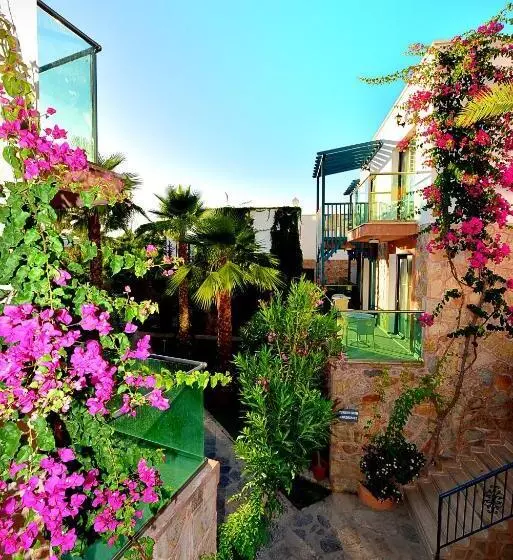 Jasmin Beach Hotel All Inclusive