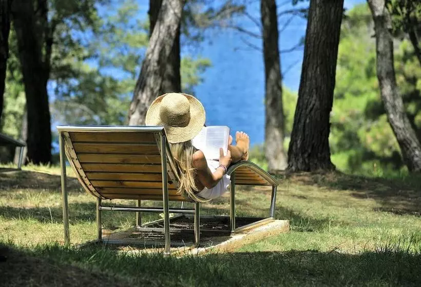 Apartments Astra Plava Laguna