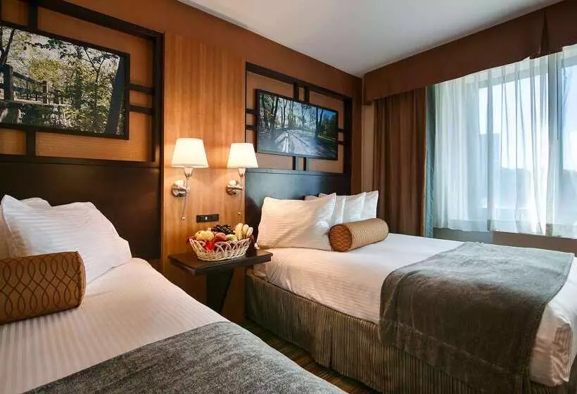 Otel Best Western Queens Gold Coast