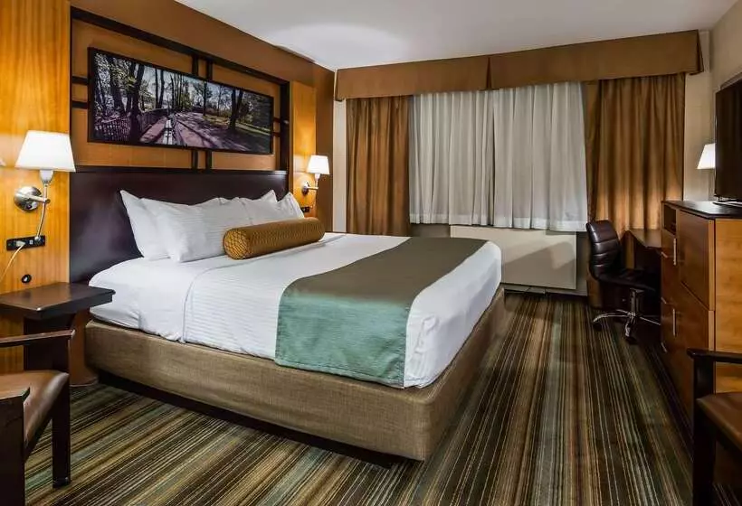 Otel Best Western Queens Gold Coast