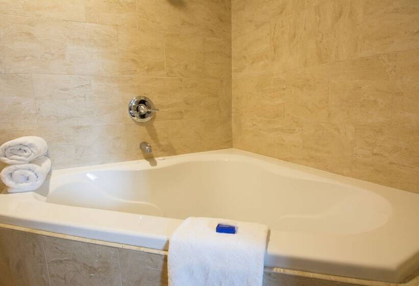 فندق Best Western Queens Gold Coast