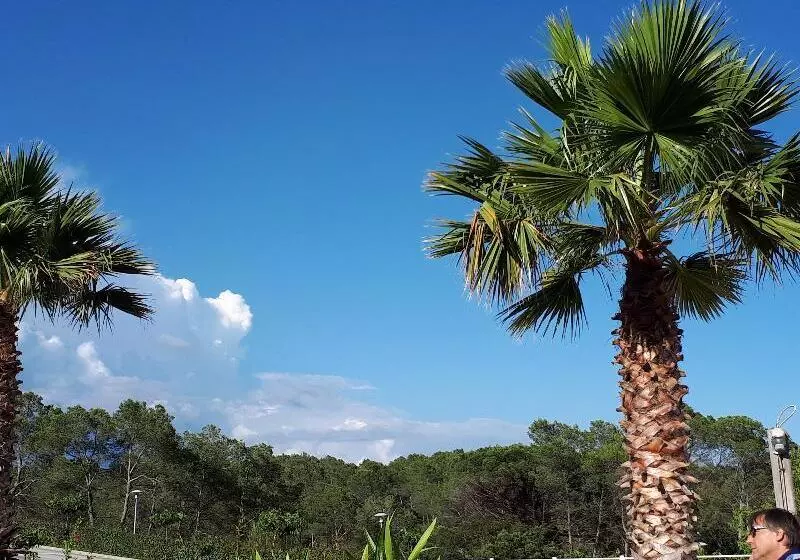 Отель Les Parasols D Argens