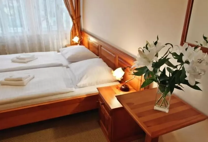 هتل Liliova Prague Old Town