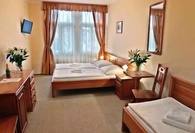 هتل Liliova Prague Old Town