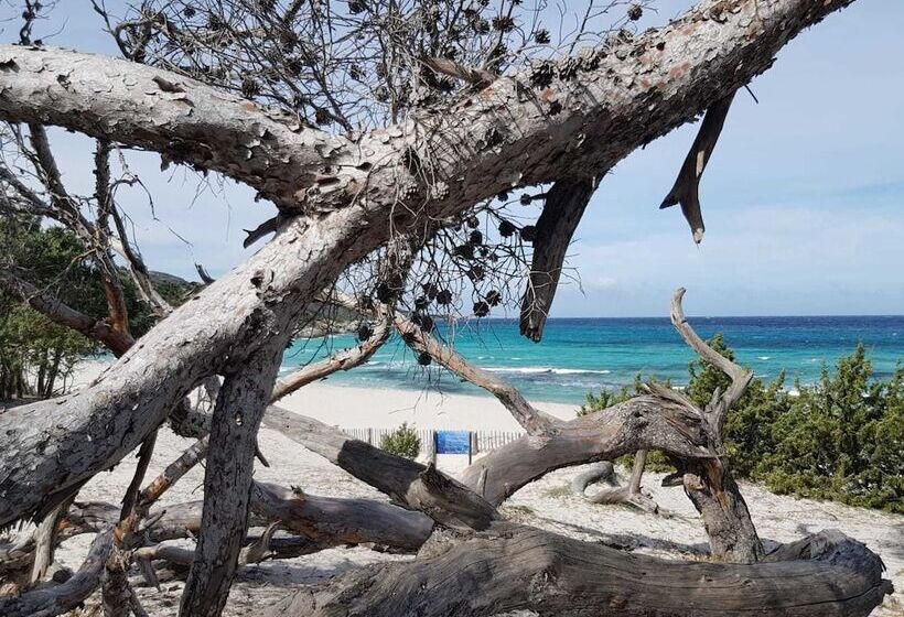 فندق Perla Rossa