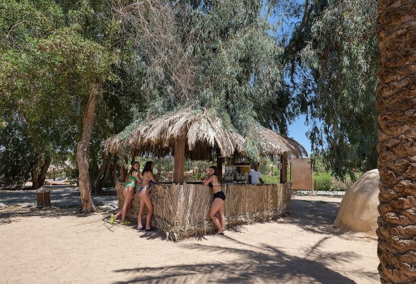 استراحتگاه Sindbad Club