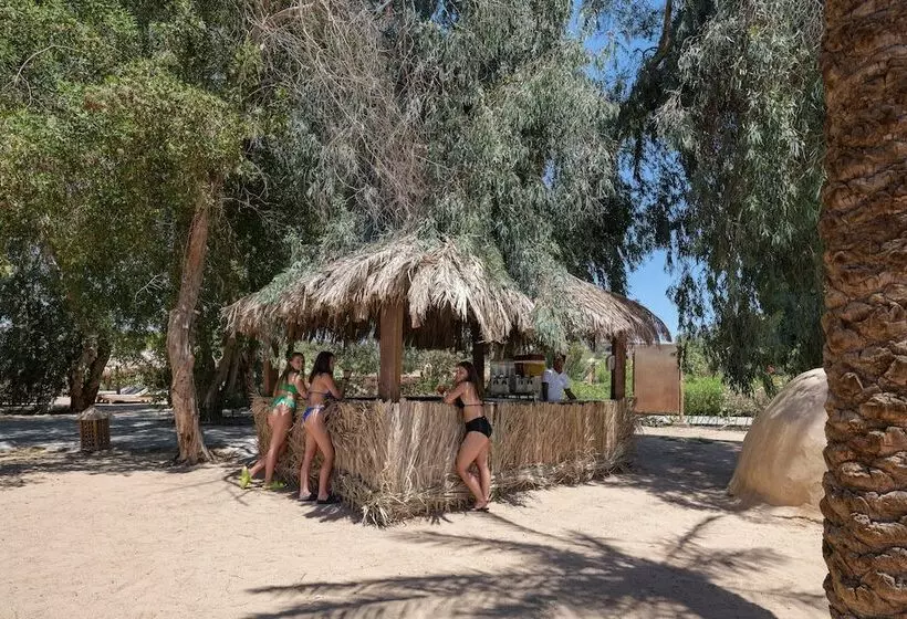 استراحتگاه Sindbad Club