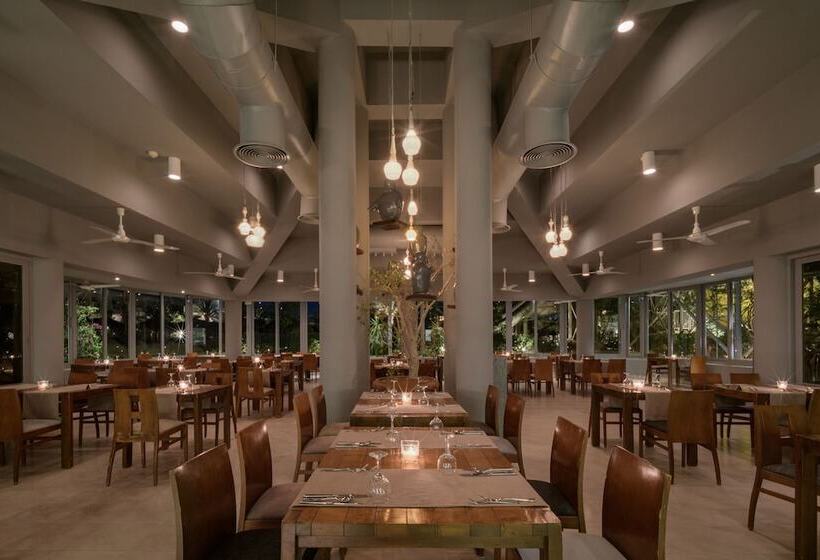 استراحتگاه Sindbad Club