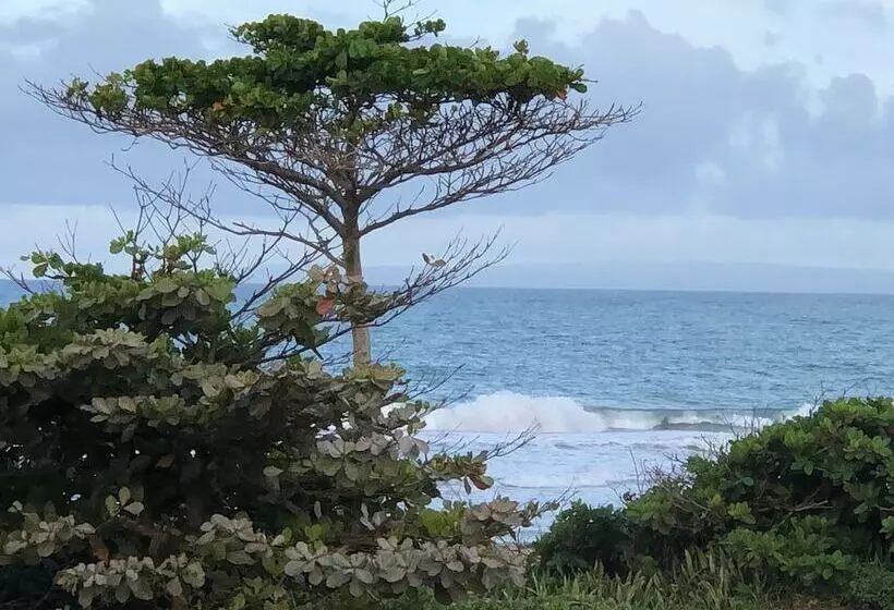 Отель Barefoot Beach Pad