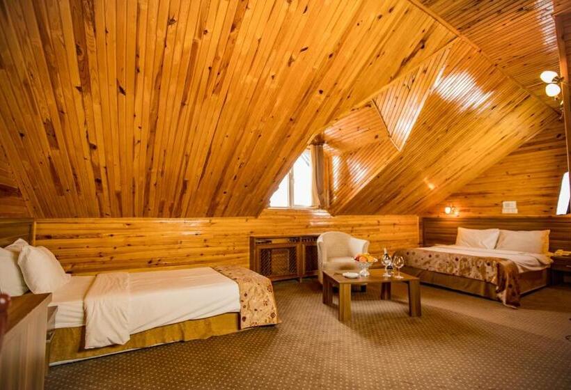 Отель Dedeman Palandoken Resort