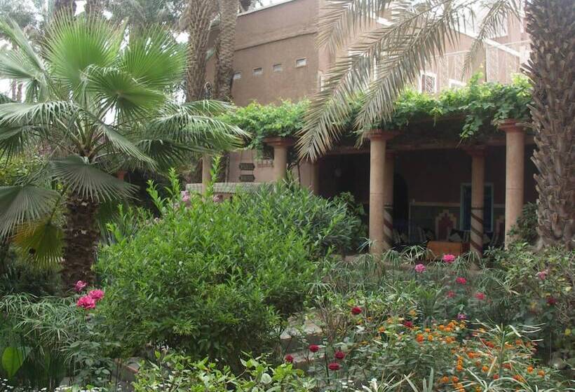 فندق Fibule Du Draa   Kasbah D Hôte