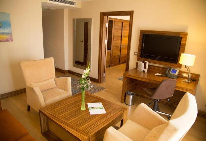 ホテル Holiday Inn Sisli, An Ihg