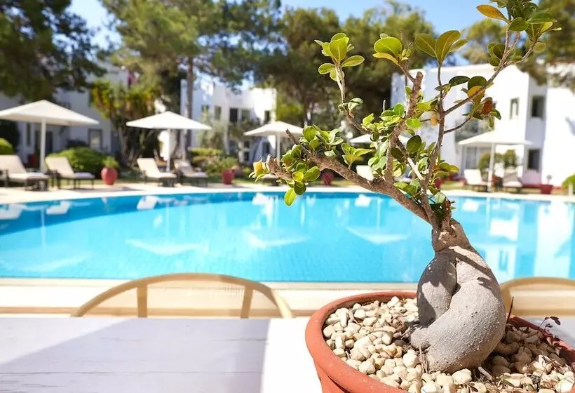 Hotel Princess Artemisia