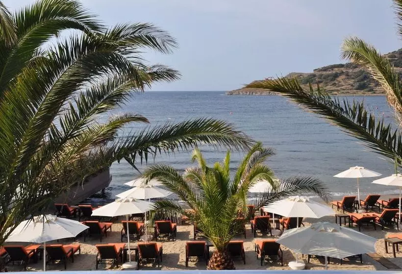 Hotel Princess Artemisia