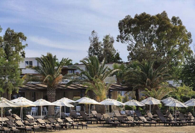 ホテル Princess Artemisia