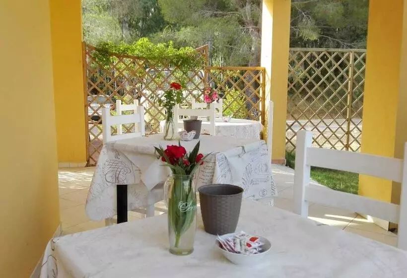 ベッドアンドブレックファースト Meravisola