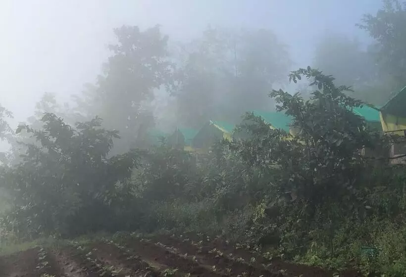 Hotelli Ananta Ecostays