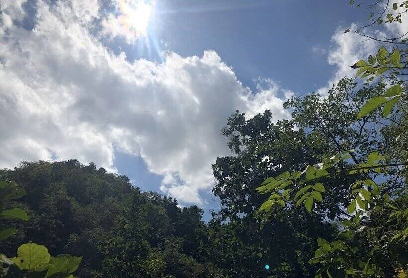 酒店 Ananta Ecostays