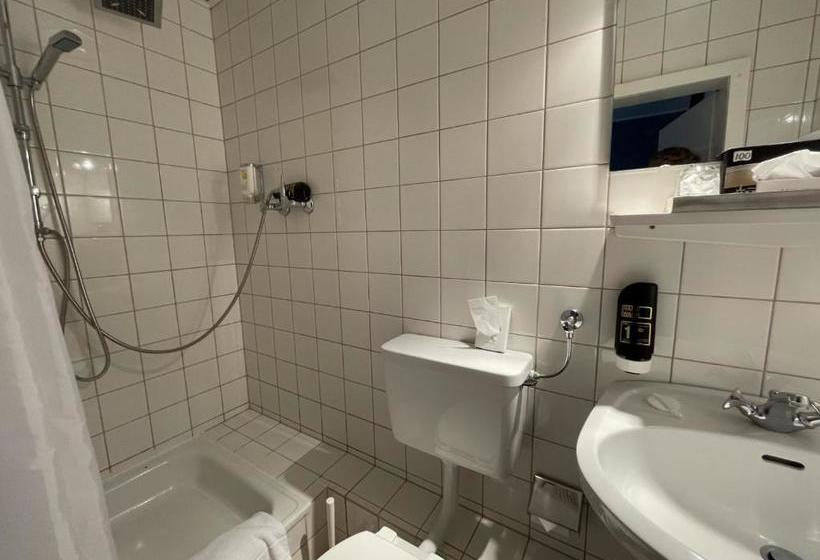 فندق Astoria Bad Wildstein