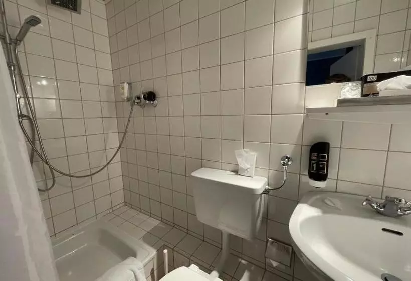 Hotelli Astoria  Bad Wildstein