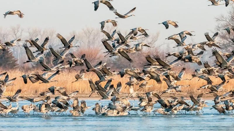 Hotel Crowne Plaza   Kearney, An Ihg