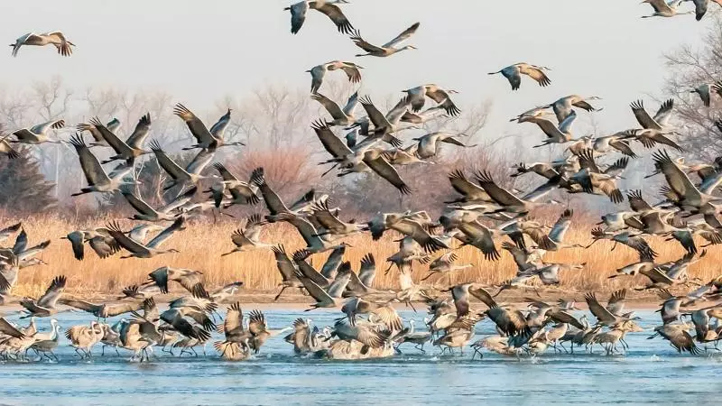 Hotelli Crowne Plaza   Kearney, An Ihg