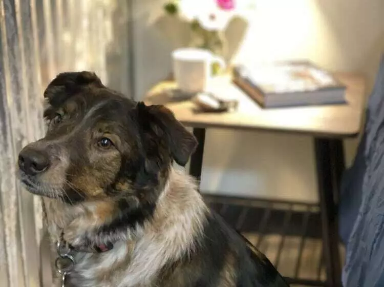 Hotelli Dawson Lodge