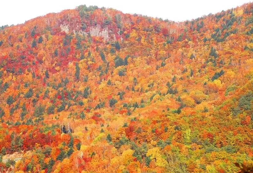 Okuyama Pension Radish