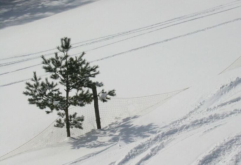 Okuyama Pension Radish