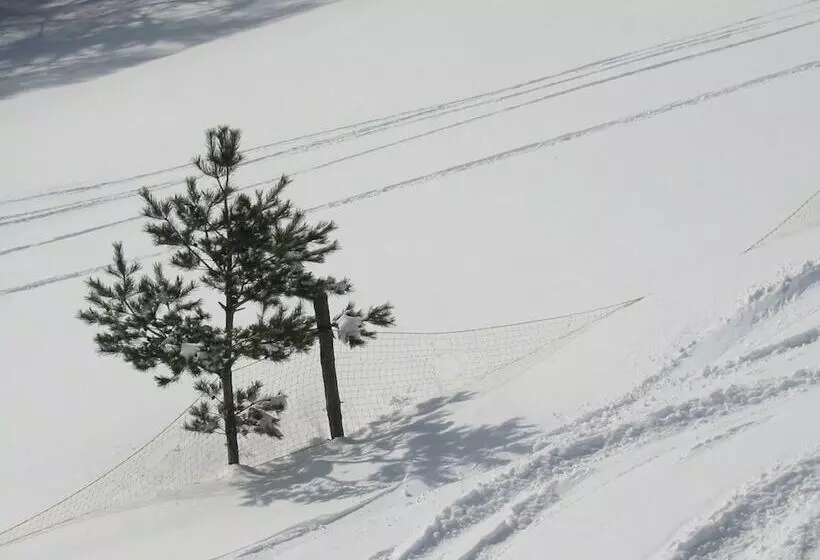 Okuyama Pension Radish