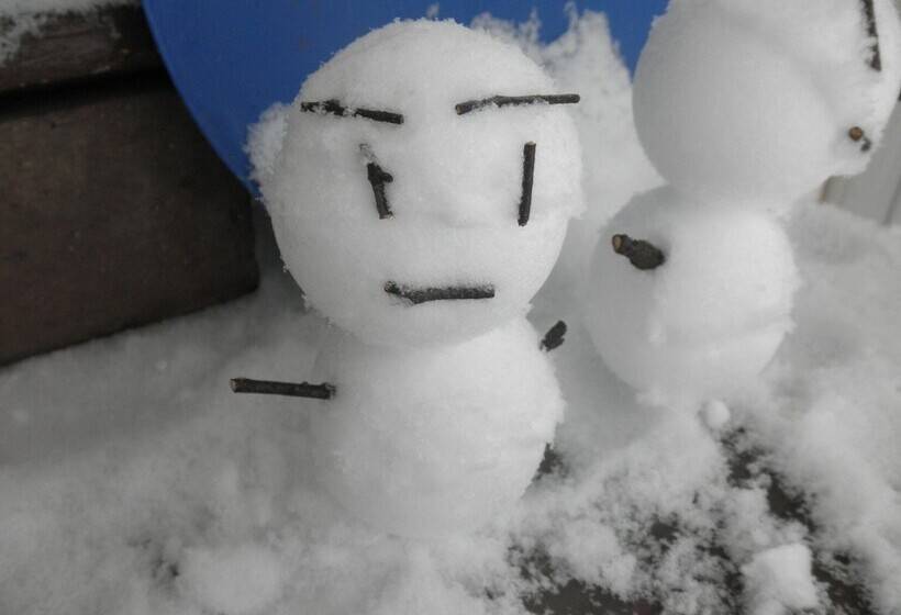 Okuyama Pension Radish