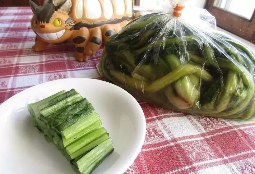 Okuyama Pension Radish