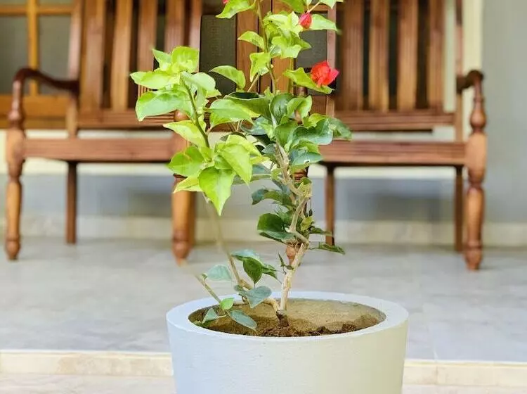 Majatalo Kandy Eco Paradise